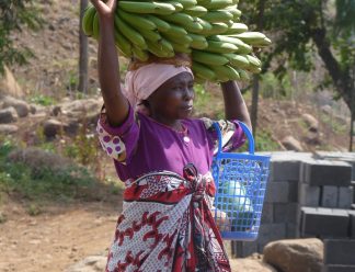 african-woman-381939_1920